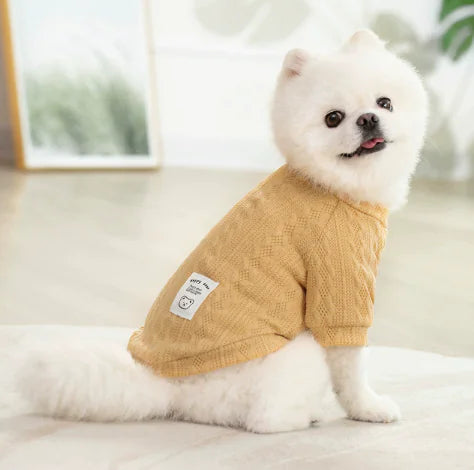 Stylish Teddy Pet Sweaters