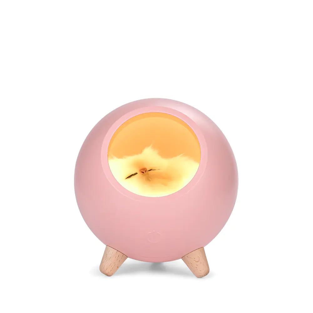 LED Rechargeable Cat Night Light