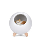 LED Rechargeable Cat Night Light